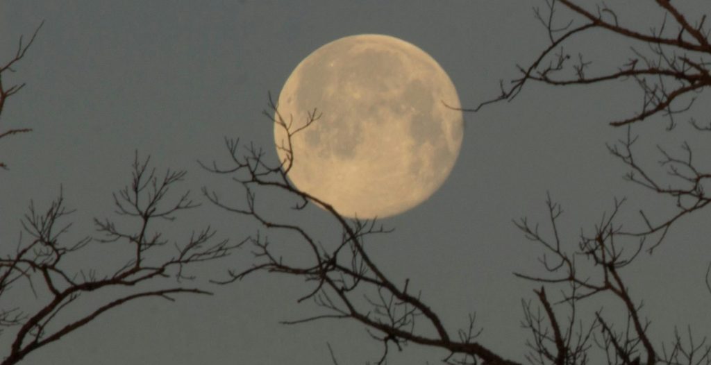 Full moon shining through bare tree branches against a muted night sky.